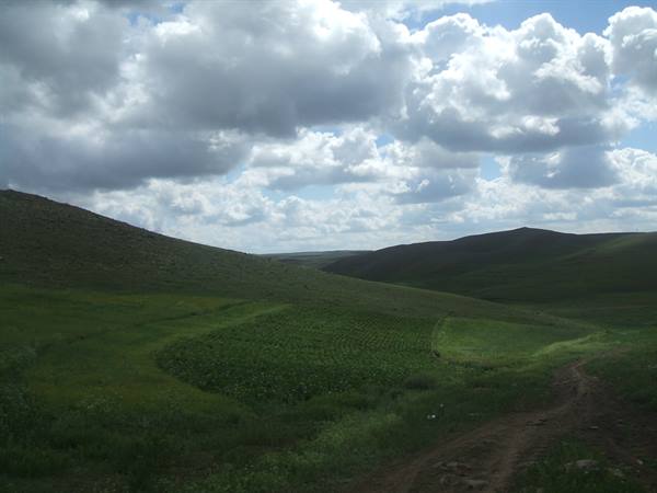 Dirt path through green cultivated hills, large white clouds filling the sky