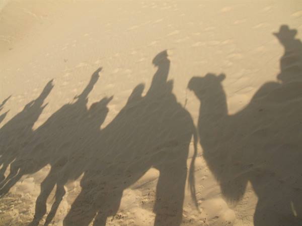 Shadows of camel riders projected on the dune sand