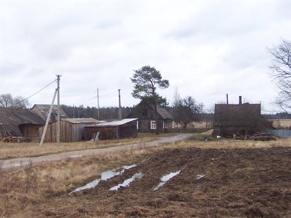 Wooden houses along dirt road with puddles under cloudy sky