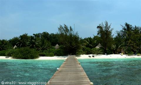 Wooden jetty over turquoise water leading to white beach and palms
