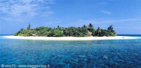 Coral island with white sand beach, palm trees and turquoise lagoon under sun