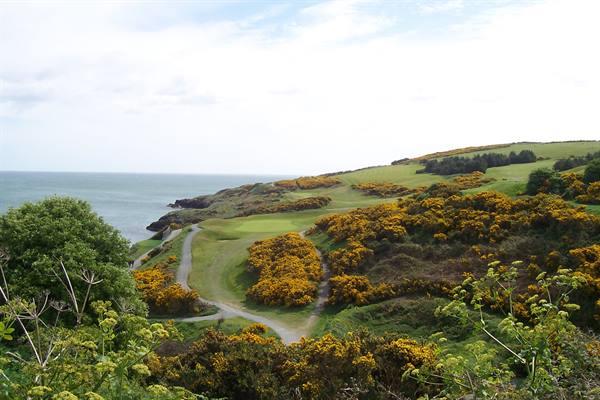 Paths through yellow gorse lead down to the sea on grassy coastline