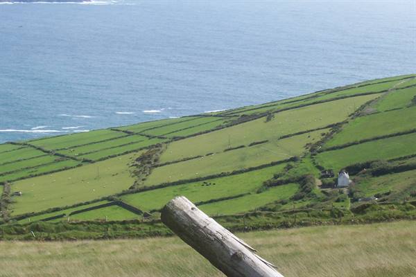 Wooden log on green grass, hedged fields and a white house above the sea