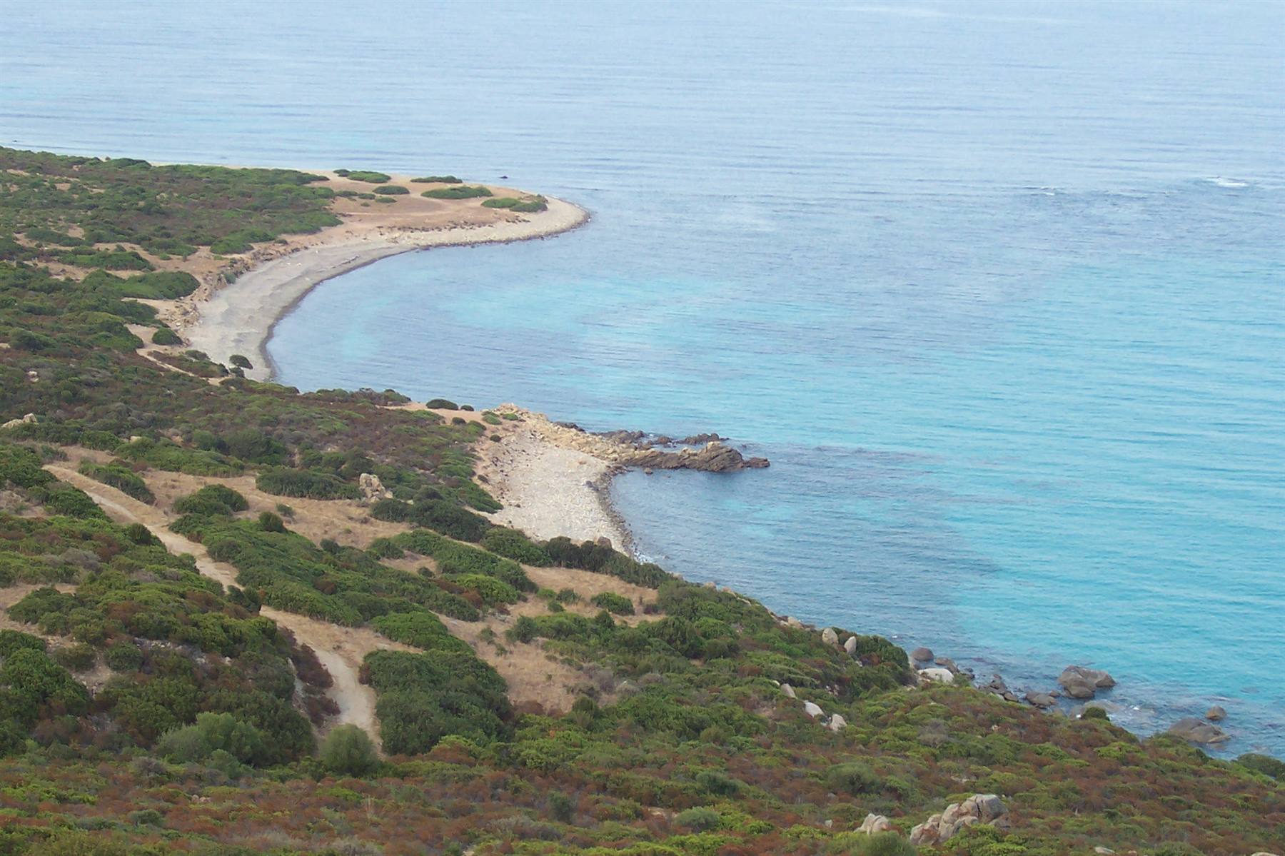 White sand beach with Mediterranean scrub and turquoise clear sea water