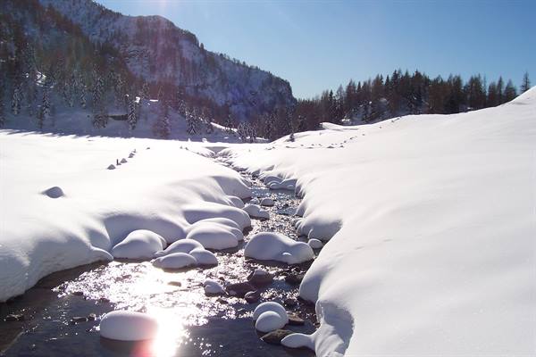 Stream flows between snow-covered stones, snowy mountain and firs under sunshine