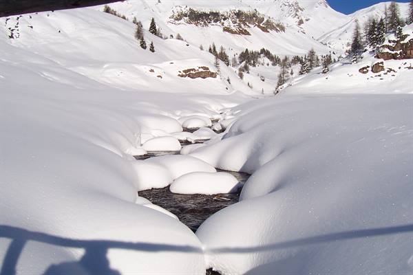 Stream flowing through fresh snow, snowy mountains and firs in sunlight