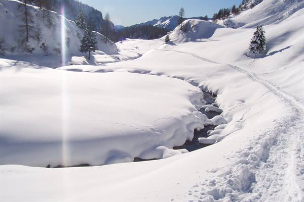 Stream beneath snow, footprints along snowy slope, fir trees and mountains