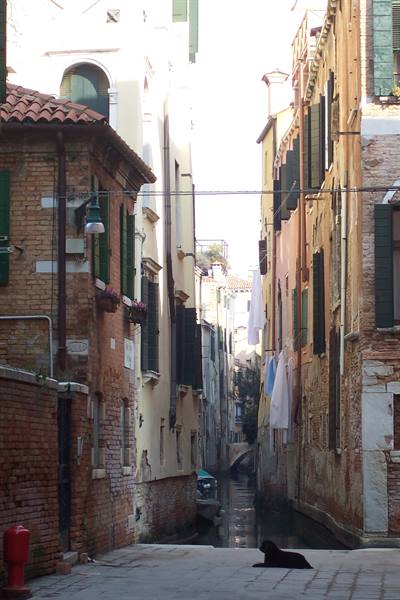 A black dog lying beside a narrow canal between old brick houses in Venice
