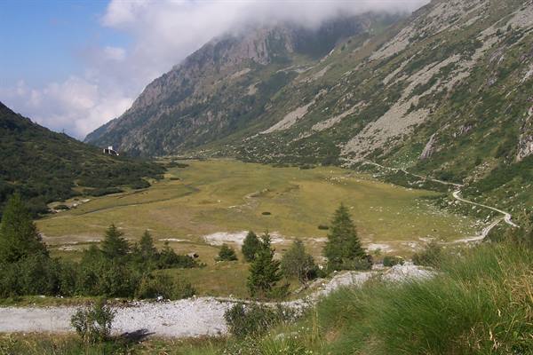 Alpine valley with green meadow, fir trees and rocky mountains among clouds