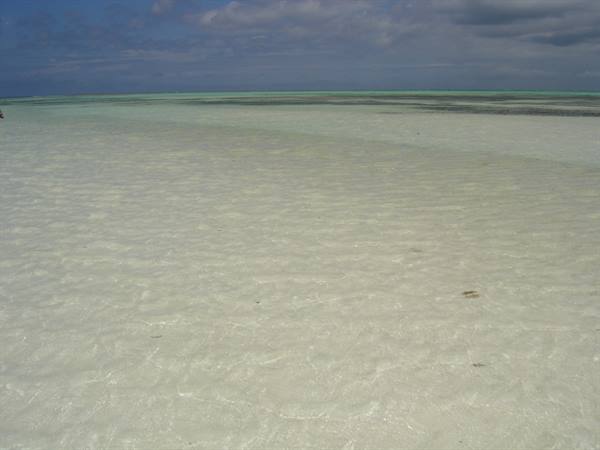 Shallow clear water over white sand, reef visible on the horizon