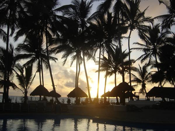 Silhouetted palm trees at dusk over a resort pool with thatched umbrellas
