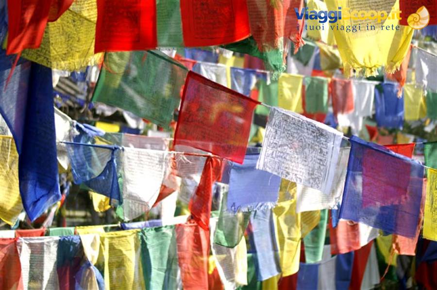 Tibetan Prayer Flags in Himachal Pradesh