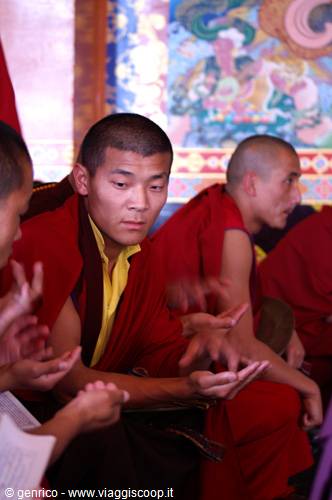 McLeod Ganj - Monks in prayer