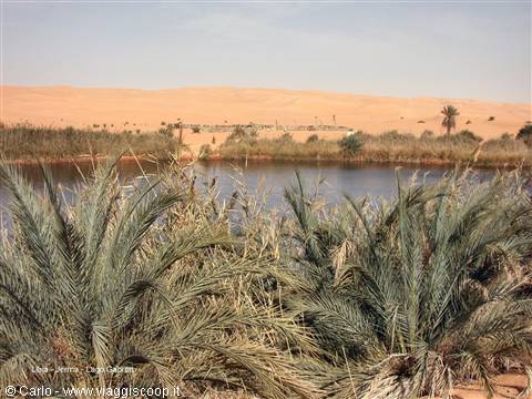 Gaberoun lake: palms and reeds before sandy dunes