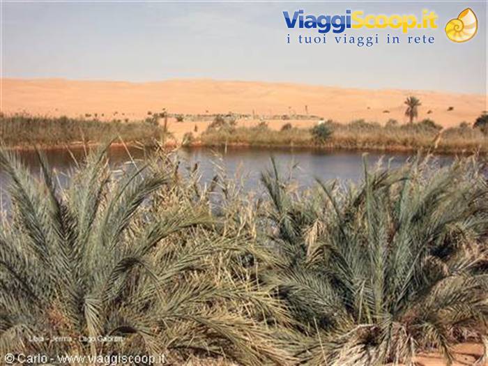 Gaberoun lake: palms and reeds before sandy dunes