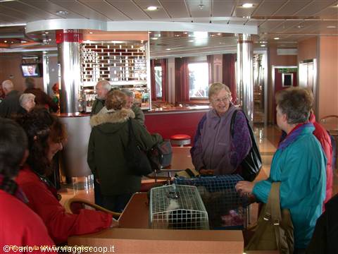 Passengers with cat cages in a ferry bar lounge