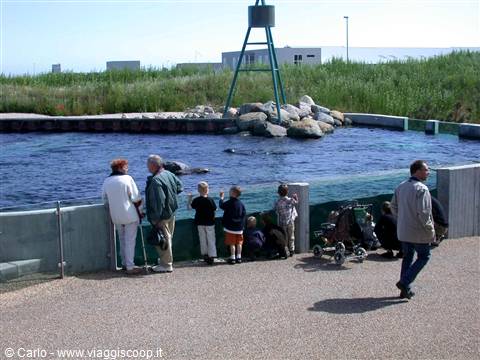 Hirtshals - Aquarium