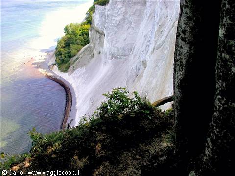 The white chalk cliffs of Møns Klint drop toward the Baltic Sea
