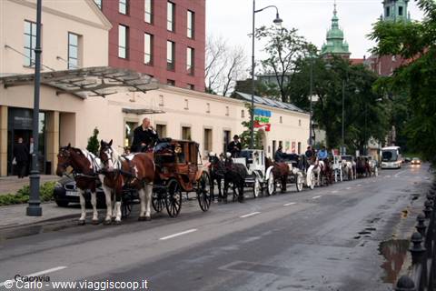Horse-drawn carriages lined up near St. Mary's in Kraków
