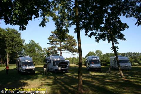 Motorhomes parked on grass under trees at Camping Pod Dębami, Terespol