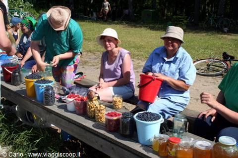 Women selling blueberries, honey and berries in jars from a wooden bench