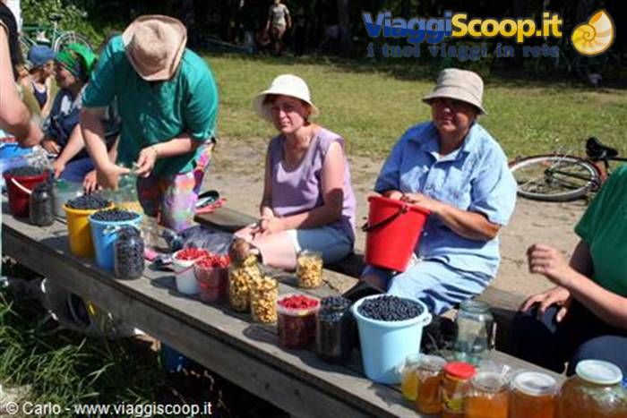 Women selling blueberries, honey and berries in jars from a wooden bench