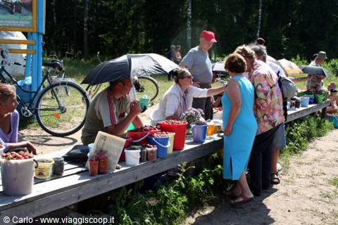 Women sell berries from wooden tables shaded by umbrellas