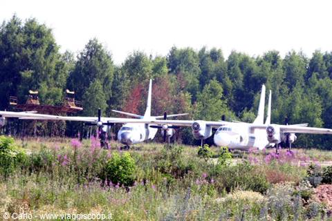 Two old twin-engine planes abandoned in a flowery meadow among trees