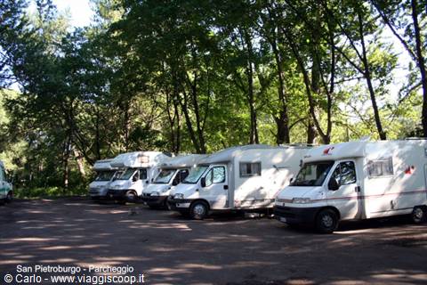 White campervans parked in the shade of trees, Saint Petersburg
