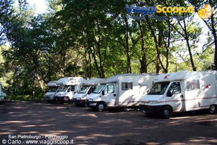 White campervans parked in the shade of trees, Saint Petersburg