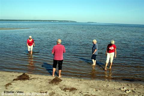 Four friends wading in shallow Baltic waters at Vosu sandy beach