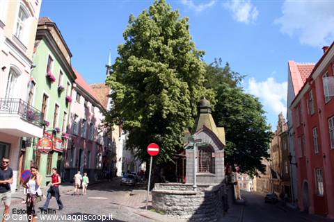 Cobbled street with colorful houses and stone fountain, Tallinn