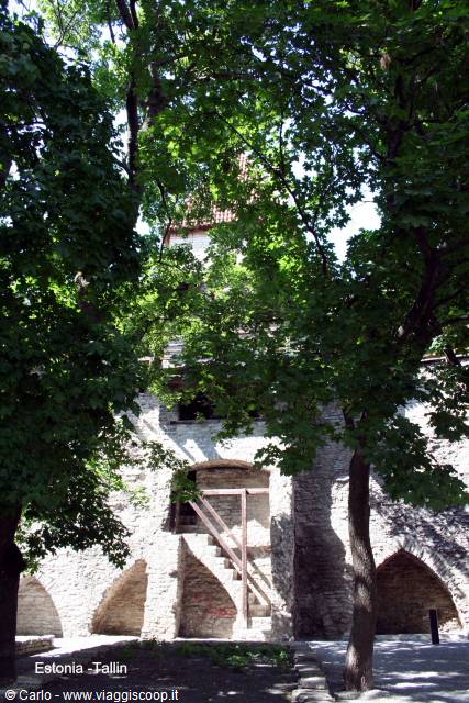 Tallinn medieval stone walls among green trees, wooden staircase