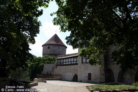 Pikk Hermann tower in Tallinn among leafy trees, limestone walls in sunlight
