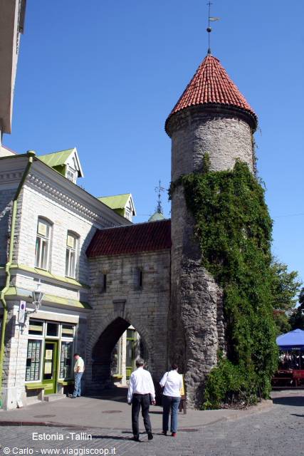 Medieval stone tower with red roof and ivy, Tallinn