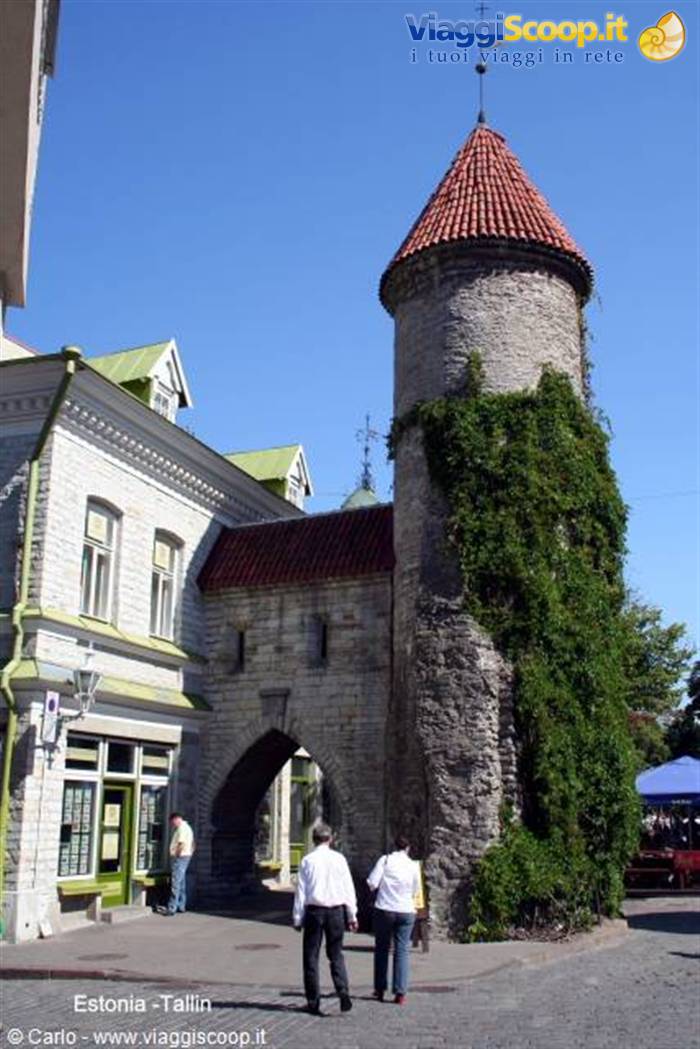 Medieval stone tower with red roof and ivy, Tallinn