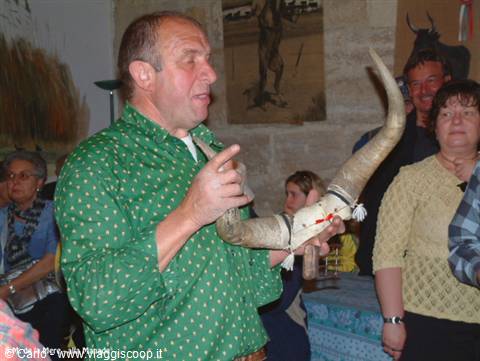 Man in green shirt holding large bull horns indoors in the Camargue