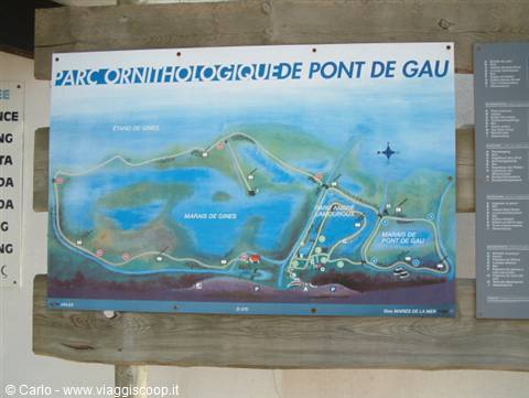 Painted map of Parc Ornithologique de Pont de Gau on wooden signboard