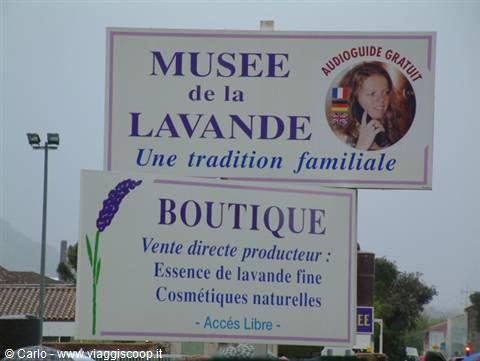 Signs of the Musée de la Lavande in Coustellet: boutique and direct lavender essence sales