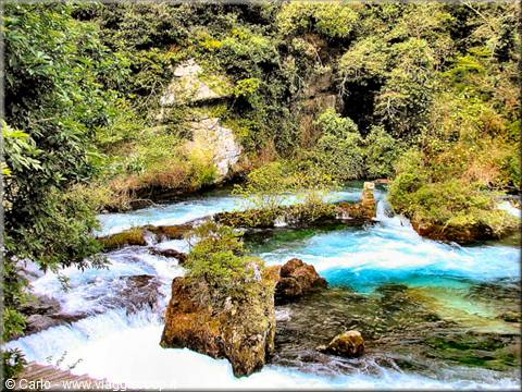 Turquoise river flowing over mossy rocks amid dense green forest, foamy rapids