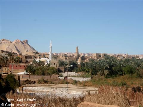 Farafra Oasis: white minaret and palm grove among mud-brick houses