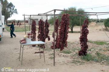 Strings of dried red peppers hanging on a metal frame by the road