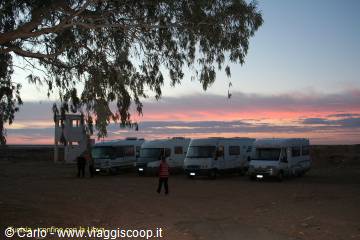 Motorhomes parked under a eucalyptus tree at dawn, a woman walks by