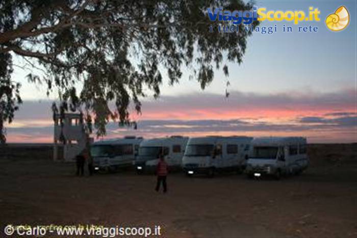 Motorhomes parked under a eucalyptus tree at dawn, a woman walks by