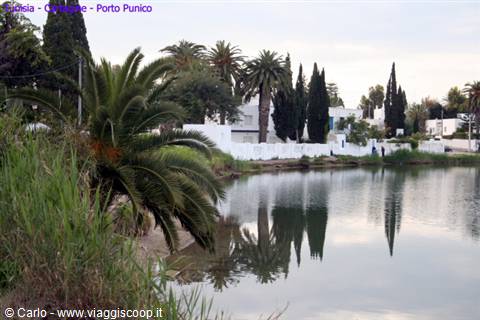 Palm and cypress trees reflected in the calm waters of Port Punico, among white houses