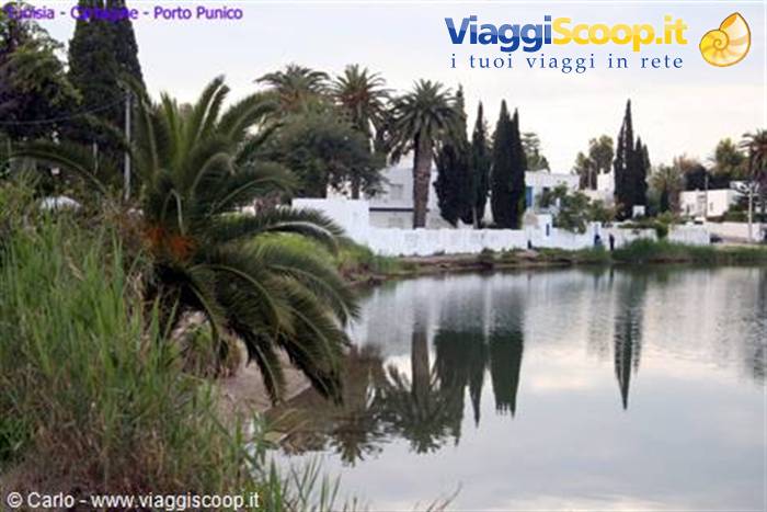 Palm and cypress trees reflected in the calm waters of Port Punico, among white houses