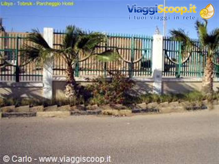 Palm trees behind a green and white metal fence near the hotel