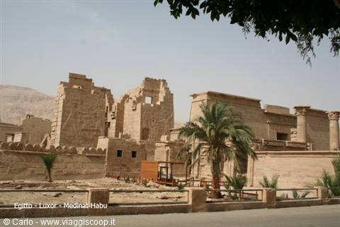 Sandstone ruins of Medinet Habu temple in Luxor with palm tree
