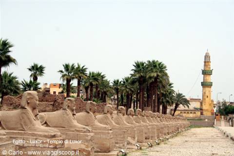 Sphinx avenue at Luxor Temple with minaret and palm trees under bright sky
