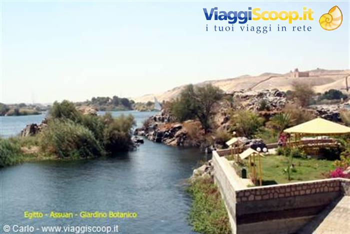 Aswan Botanical Garden on the Nile, green trees among rocks and sand